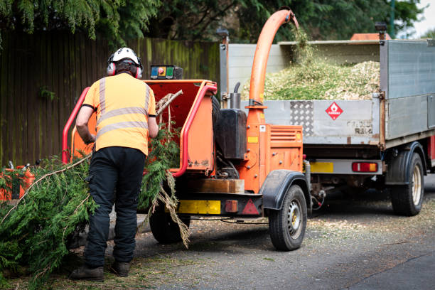 Lawn Drainage Solutions